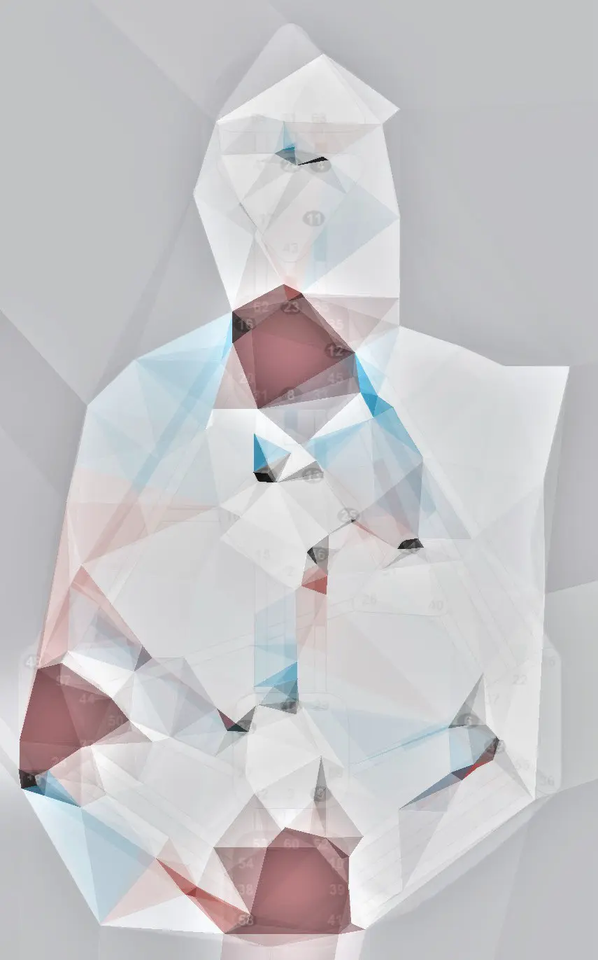 Human Design Bodygraph